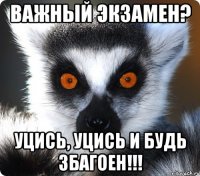 Важный Экзамен? Уцись, Уцись и Будь ЗБАГОЕН!!!