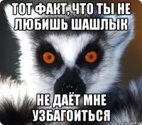 тот факт, что ты не любишь шашлык не даёт мне узбагоиться