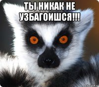 Ты никак не узбагоишся!!! 