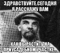 здравствуйте.сегодня я расскажу вам как вырастить на приусадебном участке...