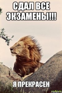 Сдал все экзамены!!! 