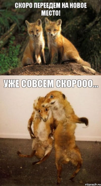 Скоро переедем на новое место! Уже совсем скорооо...