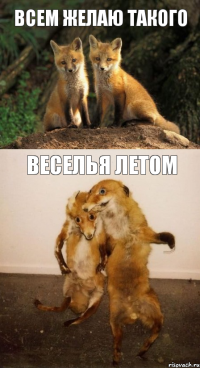 Всем желаю такого веселья летом