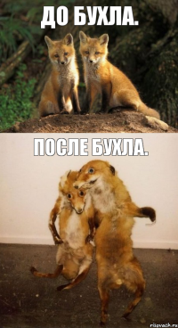 До бухла. После бухла.