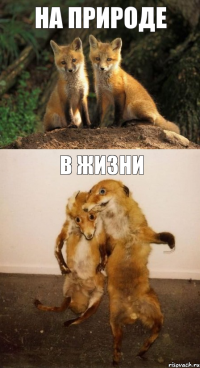 На природе В жизни