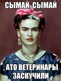 Сымай, сымай , АТО ветеринары заскучили