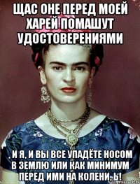 Щас оне перед моей харей помашут удостоверениями , и я, и вы все упадёте носом в землю или как минимум перед ими на колени, Ь!