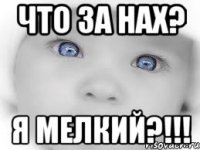 что за нах? я мелкий?!!!