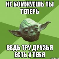 Не бомжуешь ты теперь Ведь тру друзья есть у тебя