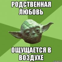 Родственная любовь ощущается в воздухе