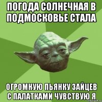 погода солнечная в Подмосковье стала огромную пьянку зайцев с палатками чувствую я