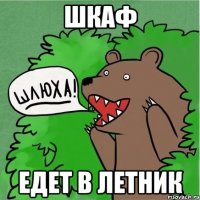 Шкаф едет в летник