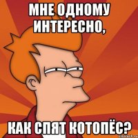 Мне одному интересно, Как спят котопёс?