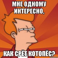 Мне одному интересно, Как срёт котопёс?
