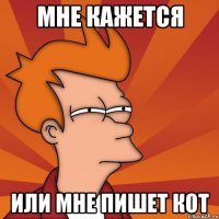 мне кажется или мне пишет кот