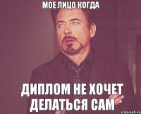 Мое лицо когда диплом не хочет делаться сам