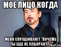 мое лицо когда меня спрашивают "почему ты еще не лаборант?"