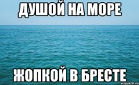 Душой на море Жопкой в Бресте