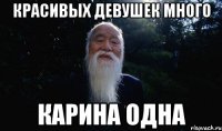 красивых Девушек много Карина одна