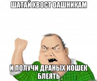Шатай хвост DAшникам и получи драных кошек блеять
