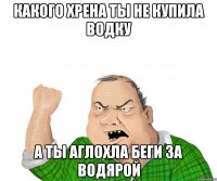 Какого хрена ты не купила водку А ты аглохла беги за водярой
