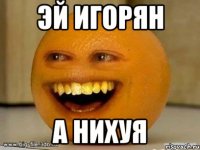 эй игорян а нихуя