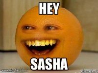 HEY SASHA