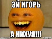 эй игорь а нихуя!!!