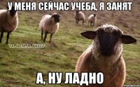 у меня сейчас учеба, я занят а, ну ладно