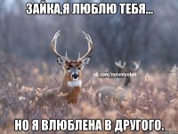 Зайка,я люблю тебя... Но я влюблена в другого.