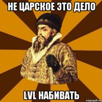 НЕ ЦАРСКОЕ ЭТО ДЕЛО LVL НАБИВАТЬ