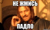 Не жмись Падло