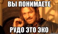Вы понимаете Рудо это эко
