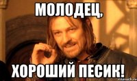 молодец, хороший песик!