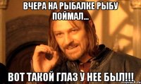 Вчера на рыбалке рыбу поймал... Вот такой глаз у нее был!!!