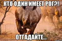 кто один имеет рог?! отгадайте...