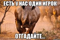 есть у нас один игрок отгадайте...