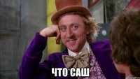  что саш
