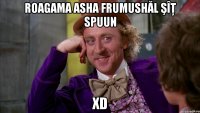 roagama asha frumushăl şîţ spuun xD