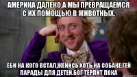 Америка далеко.а мы превращаемся с их помощью в животных. Еби на кого встал,женись хоть на собаке.гей парады для детей.бог терпит пока