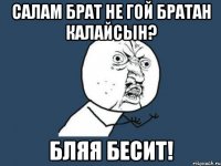 Салам брат не гой братан калайсын? Бляя БЕСИТ!