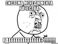 Система менеджмента качества ГДЕЕЕЕЕЕЕЕЕЕЕЕЕЕ?!!!!!!!!