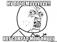 Ну почемууууууу!! Кот сожрал мою пиццу