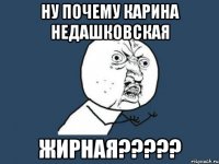 Ну почему Карина Недашковская ЖИрная?????