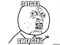 34tg43 gwergerg