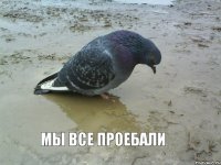 Мы все проебали