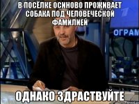 В посёлке Осиново проживает собака под человеческой фамилией Однако здраствуйте