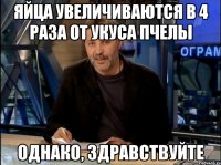 Яйца увеличиваются в 4 раза от укуса пчелы Однако, здравствуйте