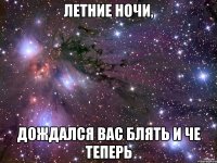 летние ночи, дождался вас блять и че теперь