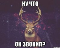 ну что он звонил?